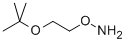O-(2-tert-Butoxyethyl)hydroxylamineStructure,1023742-13-3Structure O-(2-tert-Butoxyethyl)hydroxylamine Structure,1023742-13-3Structure