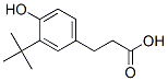 3-(3-(Tert-butyl)-4-hydroxyphenyl)propanoicacidStructure,107551-67-7Structure 3-(3-(Tert-butyl)-4-hydroxyphenyl)propanoicacid Structure,107551-67-7Structure