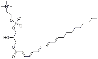 2-Eicosapentaenoyl-sn-glycerol-3-phosphocholineStructure,112667-21-7Structure 2-Eicosapentaenoyl-sn-glycerol-3-phosphocholine Structure,112667-21-7Structure