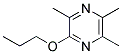 Pyrazine, trimethylpropoxy-(9ci)Structure,113929-51-4Structure Pyrazine, trimethylpropoxy-(9ci) Structure,113929-51-4Structure
