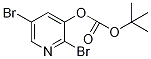 Tert-butyl 2,5-dibromopyridin-3-yl carbonateStructure,1142192-26-4Structure Tert-butyl 2,5-dibromopyridin-3-yl carbonate Structure,1142192-26-4Structure