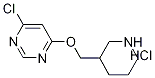 4-Chloro-6-(piperidin-3-ylmethoxy)-pyrimidine hydrochlorideStructure,1185309-95-8Structure 4-Chloro-6-(piperidin-3-ylmethoxy)-pyrimidine hydrochloride Structure,1185309-95-8Structure