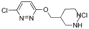 3-Chloro-6-(piperidin-3-ylmethoxy)-pyridazine hydrochlorideStructure,1185311-75-4Structure 3-Chloro-6-(piperidin-3-ylmethoxy)-pyridazine hydrochloride Structure,1185311-75-4Structure