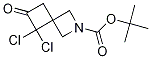 5,5-Dichloro-6-oxo-2-azaspiro[3.3]heptane-2-carboxylic acid tert-butyl ester Structure,1239320-10-5Structure