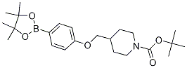 Tert-butyl 4-((4-(4,4,5,5-tetramethyl-1,3,2-dioxaborolan-2-yl)phenoxy)methyl)piperidine-1-carboxylateStructure,1310383-45-9Structure Tert-butyl 4-((4-(4,4,5,5-tetramethyl-1,3,2-dioxaborolan-2-yl)phenoxy)methyl)piperidine-1-carboxylate Structure,1310383-45-9Structure