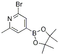 2-Bromo-4-(4,4,5,5-tetramethyl-1,3,2-dioxaborolan-2-yl)-6-methylpyridineStructure,1321518-06-2Structure 2-Bromo-4-(4,4,5,5-tetramethyl-1,3,2-dioxaborolan-2-yl)-6-methylpyridine Structure,1321518-06-2Structure