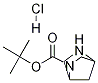 (1R,4r)-叔丁基 2,5-二氮雜雙環(huán)[2.2.1]庚烷-2-羧酸結(jié)構(gòu)式_134003-84-2結(jié)構(gòu)式