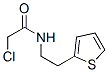 2-Chloro-n-(2-thien-2-ylethyl)acetamideStructure,135709-69-2Structure 2-Chloro-n-(2-thien-2-ylethyl)acetamide Structure,135709-69-2Structure