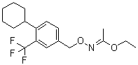 N-(4-cyclohexyl-3-trifluoromethylbenzyloxy)acetimidic acid ethyl esterStructure,1418144-65-6Structure N-(4-cyclohexyl-3-trifluoromethylbenzyloxy)acetimidic acid ethyl ester Structure,1418144-65-6Structure
