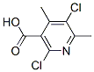 2,5-Dichloro-4,6-dimethylnicotinicacidStructure,142266-66-8Structure 2,5-Dichloro-4,6-dimethylnicotinicacid Structure,142266-66-8Structure