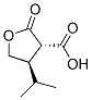 3-Furancarboxylicacid,tetrahydro-4-(1-methylethyl)-2-oxo-,trans-(9ci)Structure,147160-17-6Structure 3-Furancarboxylicacid,tetrahydro-4-(1-methylethyl)-2-oxo-,trans-(9ci) Structure,147160-17-6Structure