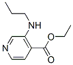 (9ci)-3-(丙基氨基)-4-吡啶羧酸乙酯結構式_151323-47-6結構式