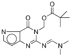N1-(Pivaloyloxy)methyl-N2-(dimethylamino)methylene 9-DeazaguanineStructure,151587-58-5Structure N1-(Pivaloyloxy)methyl-N2-(dimethylamino)methylene 9-Deazaguanine Structure,151587-58-5Structure
