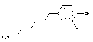 1,2-Benzenediol,4-(6-aminohexyl)-(9ci)Structure,154585-07-6Structure 1,2-Benzenediol,4-(6-aminohexyl)-(9ci) Structure,154585-07-6Structure
