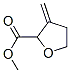2-Furancarboxylicacid,tetrahydro-3-methylene-,methylester(9ci)Structure,155190-06-0Structure 2-Furancarboxylicacid,tetrahydro-3-methylene-,methylester(9ci) Structure,155190-06-0Structure