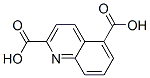 2,5-Quinolinedicarboxylicacid(9ci)Structure,155602-27-0Structure 2,5-Quinolinedicarboxylicacid(9ci) Structure,155602-27-0Structure