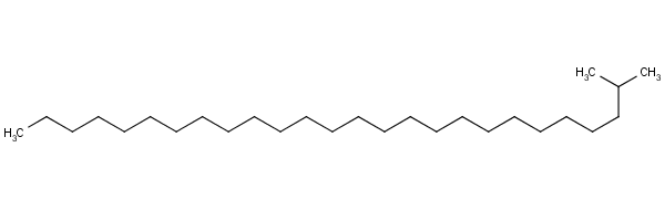 2-MethylhexacosaneStructure,1561-02-0Structure 2-Methylhexacosane Structure,1561-02-0Structure
