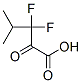 Pentanoic acid, 3,3-difluoro-4-methyl-2-oxo-Structure,165544-39-8Structure Pentanoic acid, 3,3-difluoro-4-methyl-2-oxo- Structure,165544-39-8Structure