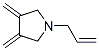 Pyrrolidine, 3,4-bis(methylene)-1-(2-propenyl)- (9ci)Structure,176249-80-2Structure Pyrrolidine, 3,4-bis(methylene)-1-(2-propenyl)- (9ci) Structure,176249-80-2Structure