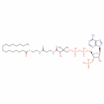 Coenzyme a-s-hexadecanoateStructure,1763-10-6Structure Coenzyme a-s-hexadecanoate Structure,1763-10-6Structure