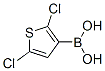 2,5-Dichlorothiophene-3-boronic acidStructure,177735-28-3Structure 2,5-Dichlorothiophene-3-boronic acid Structure,177735-28-3Structure