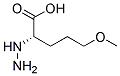 Pentanoic acid, 2-hydrazino-5-methoxy-, (s)-(9ci)Structure,179746-89-5Structure Pentanoic acid, 2-hydrazino-5-methoxy-, (s)-(9ci) Structure,179746-89-5Structure