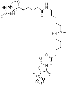 6-[[6-[[5-[(3AS,4S,6AR)-六氫-2-氧代-1H-噻吩并[3,4-D]咪唑-4-基]-1-氧代戊基]氨基]-1-氧代己基]氨基]-己酸 2,5-二氧代-3-磺基-1-吡咯烷基酯鈉鹽結構式_194041-66-2結構式