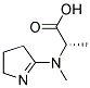 L-alanine, n-(3,4-dihydro-2h-pyrrol-5-yl)-n-methyl-(9ci)Structure,198198-32-2Structure L-alanine, n-(3,4-dihydro-2h-pyrrol-5-yl)-n-methyl-(9ci) Structure,198198-32-2Structure