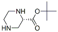 2-Piperazinecarboxylicacid,1,1-dimethylethylester,(s)-(9ci)Structure,198992-48-2Structure 2-Piperazinecarboxylicacid,1,1-dimethylethylester,(s)-(9ci) Structure,198992-48-2Structure