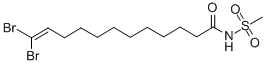 12,12-Dibromo-n-(methylsulfonyl)-11-dodecenamideStructure,206052-03-1Structure 12,12-Dibromo-n-(methylsulfonyl)-11-dodecenamide Structure,206052-03-1Structure