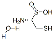 L-cysteinesulfinic acid monohydrateStructure,207121-48-0Structure L-cysteinesulfinic acid monohydrate Structure,207121-48-0Structure
