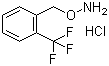 O-[2-(三氟甲基)芐基]羥胺鹽酸鹽結(jié)構(gòu)式_215599-92-1結(jié)構(gòu)式