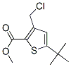 Methyl 5-tert-butyl-3-(chloromethyl)thiophene-2-carboxylateStructure,252914-61-7Structure Methyl 5-tert-butyl-3-(chloromethyl)thiophene-2-carboxylate Structure,252914-61-7Structure