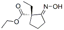 Cyclopentanecarboxylic acid,1-ethyl-2-(hydroxyimino)-,ethyl ester,(1s)-(9ci)Structure,335260-38-3Structure Cyclopentanecarboxylic acid,1-ethyl-2-(hydroxyimino)-,ethyl ester,(1s)-(9ci) Structure,335260-38-3Structure