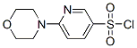 6-Morpholin-4-yl-pyridine-3-sulfonyl chlorideStructure,337508-68-6Structure 6-Morpholin-4-yl-pyridine-3-sulfonyl chloride Structure,337508-68-6Structure