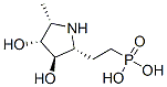 (9ci)-[2-[(2r,3r,4r,5s)-3,4-二羥基-5-甲基-2-吡咯烷]乙基]-磷酸結(jié)構(gòu)式_339186-28-6結(jié)構(gòu)式