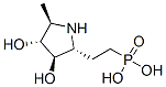 (9ci)-[2-[(2r,3r,4r,5r)-3,4-二羥基-5-甲基-2-吡咯烷]乙基]-磷酸結(jié)構(gòu)式_339186-29-7結(jié)構(gòu)式