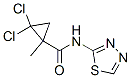 Cyclopropanecarboxamide,2,2-dichloro-1-methyl-n-1,3,4-thiadiazol-2-yl-(9ci)Structure,345314-55-8Structure Cyclopropanecarboxamide,2,2-dichloro-1-methyl-n-1,3,4-thiadiazol-2-yl-(9ci) Structure,345314-55-8Structure