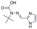 (2E)-2-(1h-imidazol-2-ylmethylene)-1-(2-methyl-2-propanyl)hydrazinecarboxylic acidStructure,348628-29-5Structure (2E)-2-(1h-imidazol-2-ylmethylene)-1-(2-methyl-2-propanyl)hydrazinecarboxylic acid Structure,348628-29-5Structure