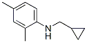 Benzenamine,n-(cyclopropylmethyl)-2,4-dimethyl-(9ci)Structure,356539-40-7Structure Benzenamine,n-(cyclopropylmethyl)-2,4-dimethyl-(9ci) Structure,356539-40-7Structure