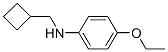 Benzenamine,n-(cyclobutylmethyl)-4-ethoxy-(9ci)Structure,356539-68-9Structure Benzenamine,n-(cyclobutylmethyl)-4-ethoxy-(9ci) Structure,356539-68-9Structure