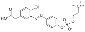 4-Hydroxy-3-(4-diazophenylphosphorylcholine) phenylacetic acidStructure,359435-74-8Structure 4-Hydroxy-3-(4-diazophenylphosphorylcholine) phenylacetic acid Structure,359435-74-8Structure
