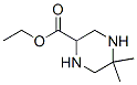 2-Piperazinecarboxylicacid,5,5-dimethyl-,ethylester(9ci)Structure,363192-02-3Structure 2-Piperazinecarboxylicacid,5,5-dimethyl-,ethylester(9ci) Structure,363192-02-3Structure