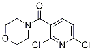 (2,6-Dichloropyridin-3-yl)(morpholino)methanoneStructure,415700-14-0Structure (2,6-Dichloropyridin-3-yl)(morpholino)methanone Structure,415700-14-0Structure