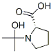 L-proline, 1-(1-hydroxy-1-methylethyl)-(9ci)Structure,436159-71-6Structure L-proline, 1-(1-hydroxy-1-methylethyl)-(9ci) Structure,436159-71-6Structure