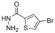 2-Thiophenecarboxylicacid,4-bromo-,hydrazide(9ci)Structure,438219-36-4Structure 2-Thiophenecarboxylicacid,4-bromo-,hydrazide(9ci) Structure,438219-36-4Structure