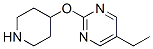 Pyrimidine, 5-ethyl-2-(4-piperidinyloxy)- (9ci)Structure,459819-33-1Structure Pyrimidine, 5-ethyl-2-(4-piperidinyloxy)- (9ci) Structure,459819-33-1Structure