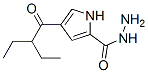 (9ci)-4-(2-乙基-1-氧代丁基)-1H-吡咯-2-羧酸肼結(jié)構(gòu)式_477848-78-5結(jié)構(gòu)式