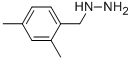 1-(2,4-Dimethylbenzyl)hydrazineStructure,51421-20-6Structure 1-(2,4-Dimethylbenzyl)hydrazine Structure,51421-20-6Structure