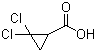 2,2-Dichloro-cyclopropanecarboxylic acidStructure,5365-14-0Structure 2,2-Dichloro-cyclopropanecarboxylic acid Structure,5365-14-0Structure